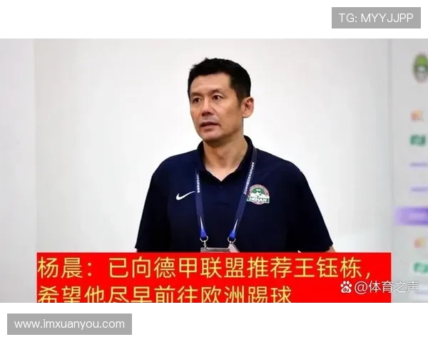 德甲球队的明星球员：他们如何改变球队命运