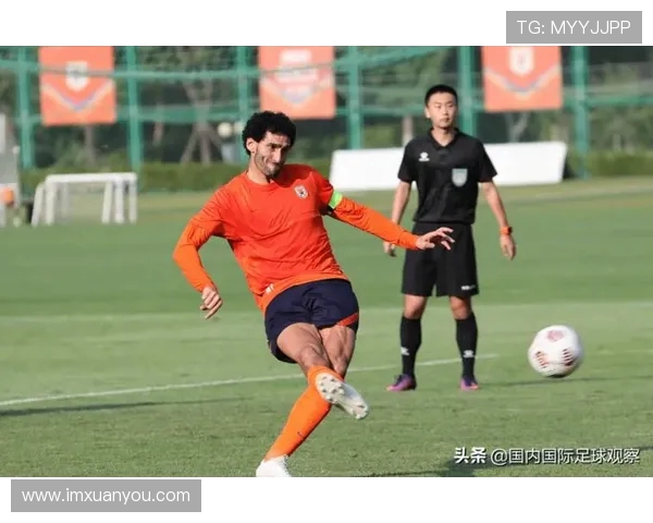 法甲外援表现回顾及对球队贡献的深度分析