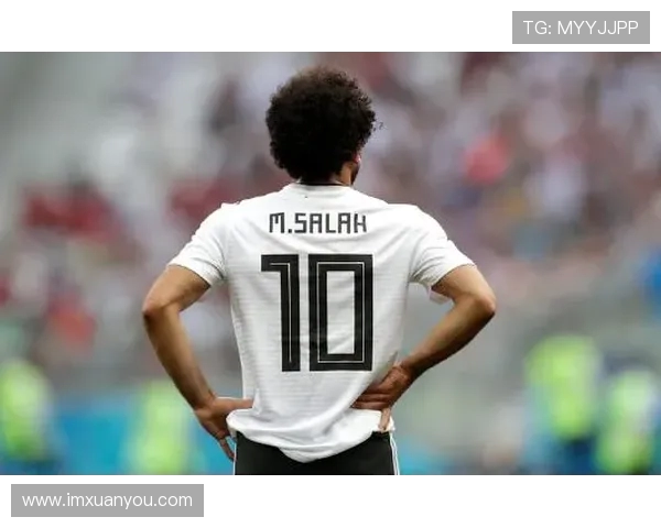 埃及世界杯预选赛战绩回顾与未来征程展望分析历史与挑战全面解读